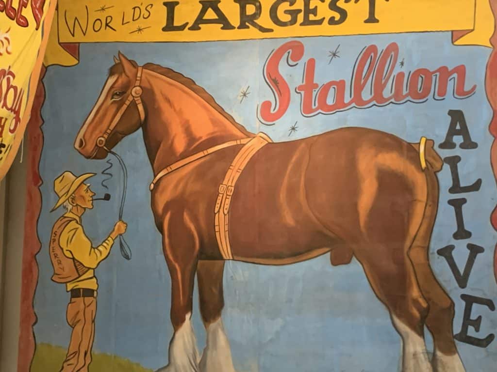 The International Independent Showmen’s Museum in Riverview is a 55,000-square-foot facility that features artifacts donated by former show owners and workers from across the U.S. and around the world. | Tampa Free Press