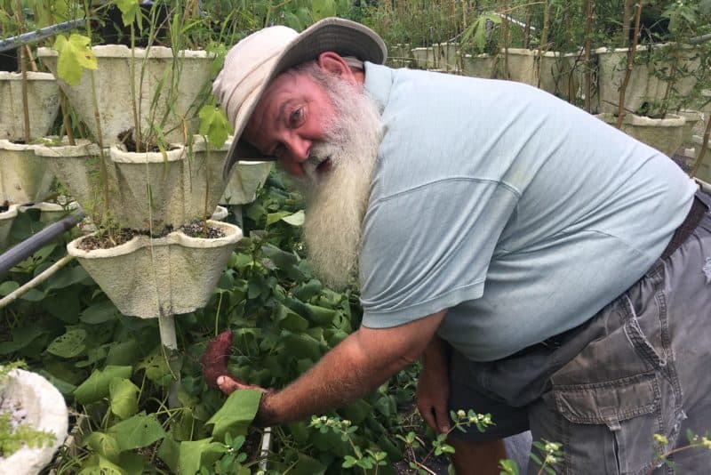 Ruskin couple’s fresh idea grows into successful hydroponic farm