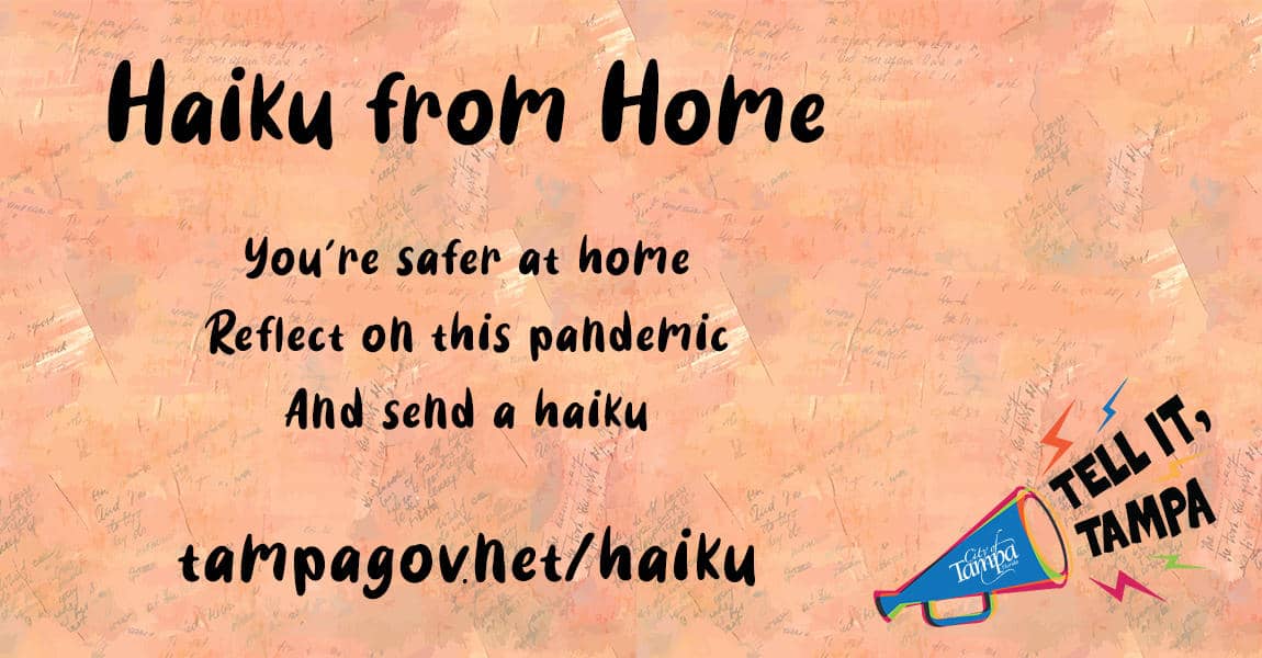 City of Tampa Launches Haiku from Home Initiative