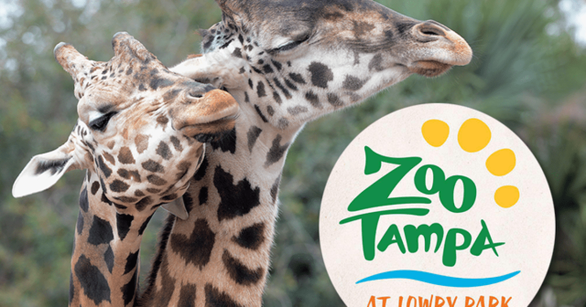 Zoo Tampa Now Open for Outdoor Fun