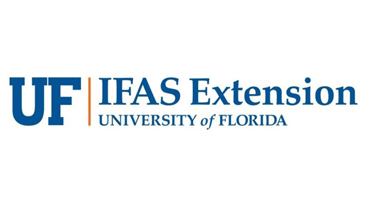 UF/IFAS Extension Faculty Produce Videos to Educate Latinx Population During Pandemic