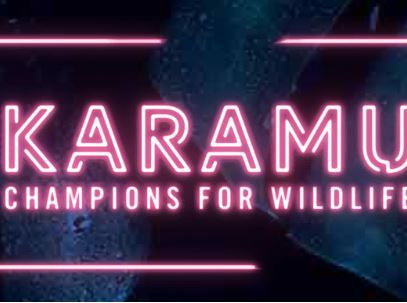 ZooTampa, Karamu Auction Now Live, Closes June 30th