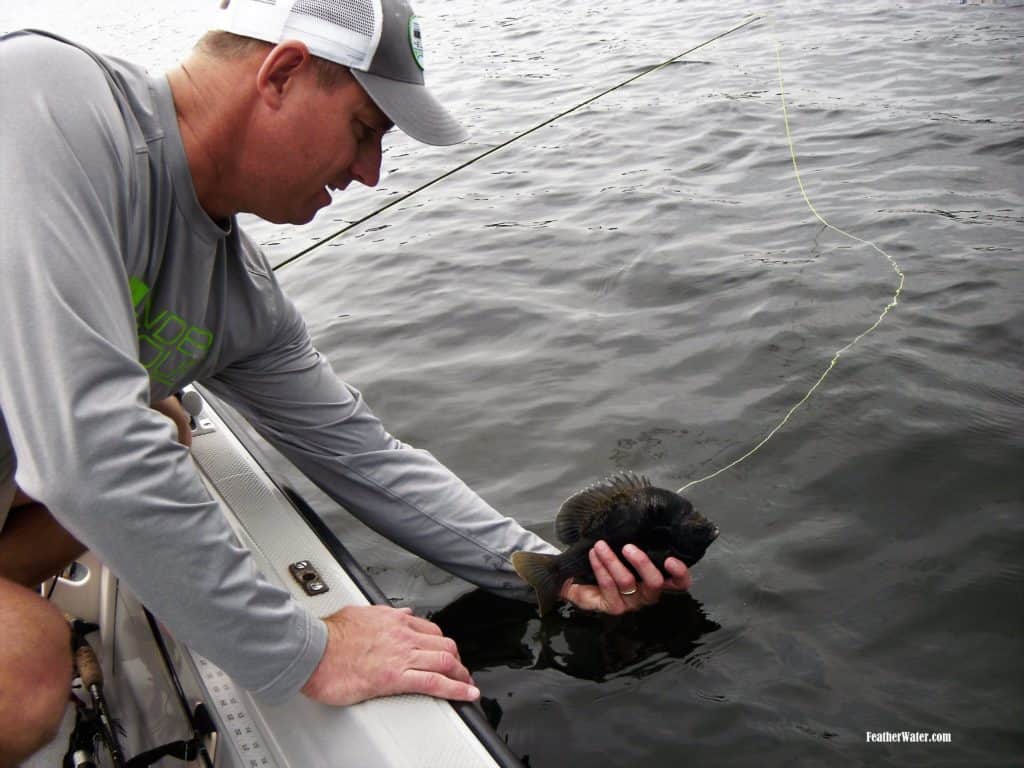 Chris OByrne lands a Lake McLeod bluegill