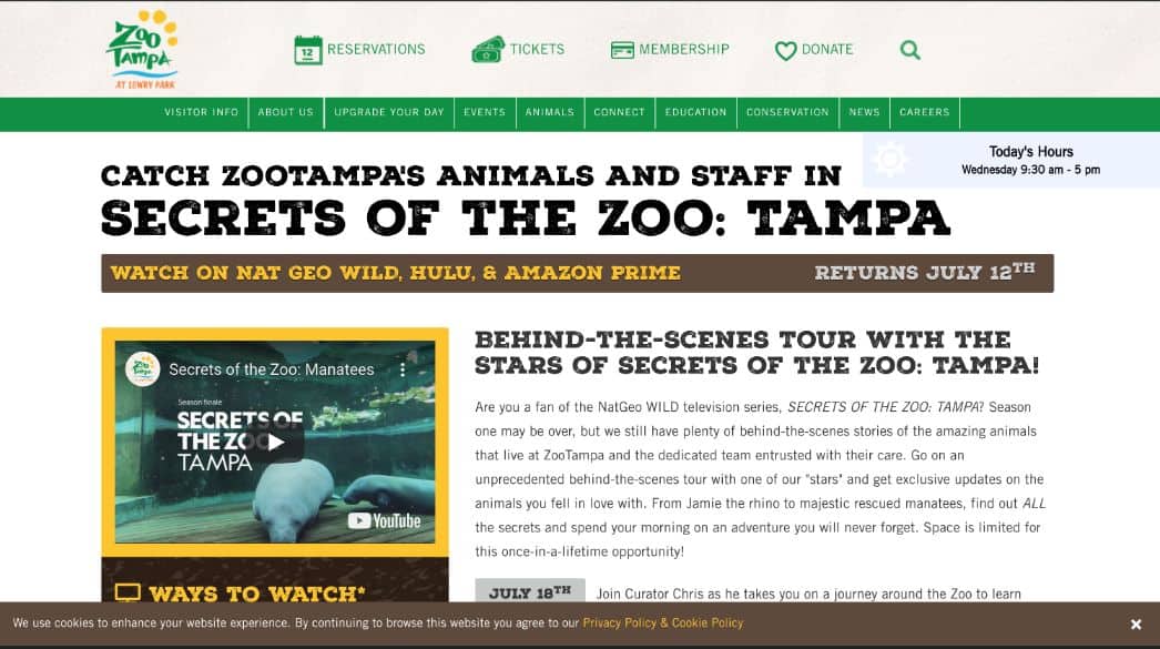 What’s New at the ZooTampa at Lowry Park