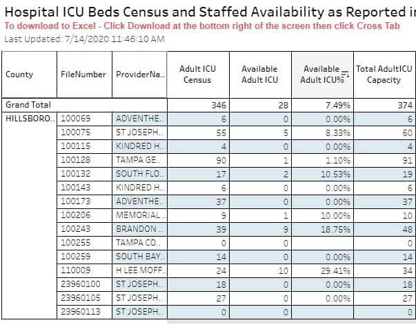 Hillsborough Hospital Bed Capacity and COVID-19 Hospitalization Numbers