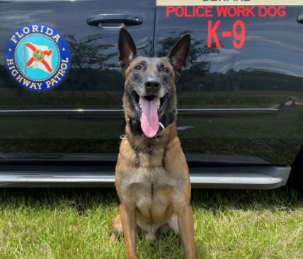 Florida Highway Patrol K-9 ‘Titan’ Nabs NC Drug Traffickers in Hernando County