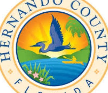 2020 Hernando County Primary Election Results, Updated