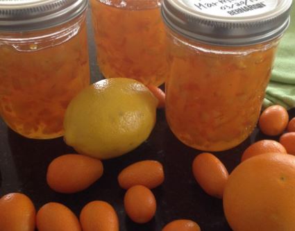 Kumquat Marmalade, Fresh From Florida Recipe