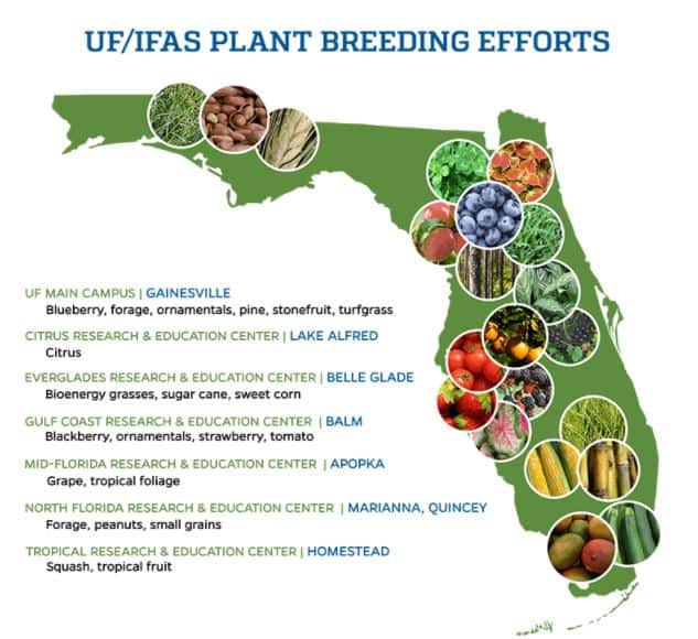 plant breeding efforts