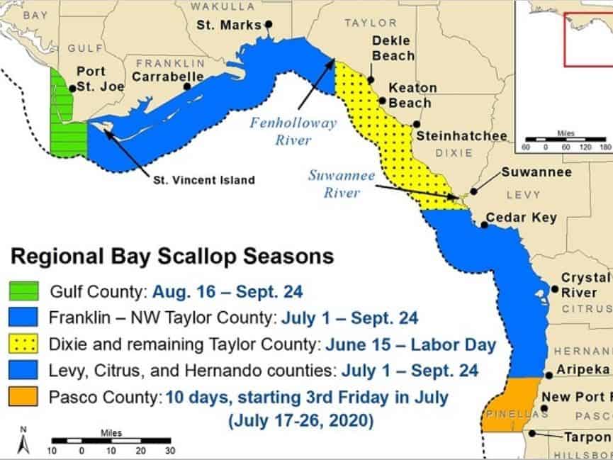 Bay Scallop Season to Close Sept. 25 In Several Areas