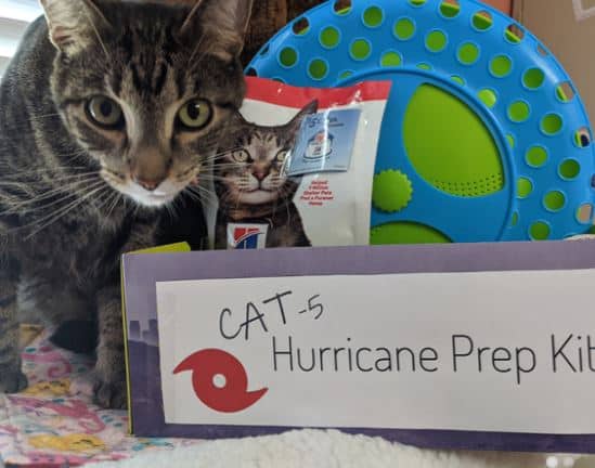 SPCA Tampa Bay Rescues Animals from Hurricanes Laura and Sally Update