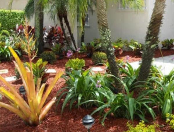 FREE Virtual Classes And In-Person Workshop On Florida-Friendly Landscaping