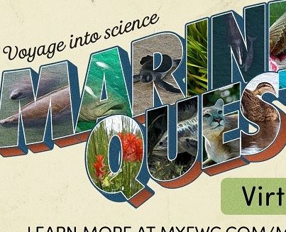 Virtual MarineQuest 2020 and Virtual School Day Event