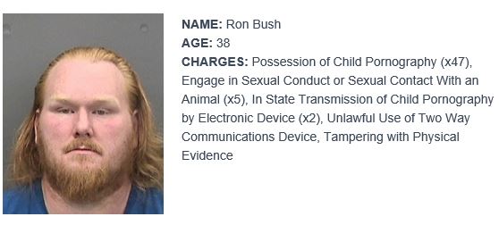 hcso child porn