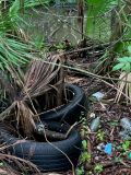 illegal dumping2