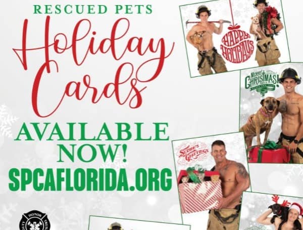 Lakeland Firefighter and Rescued Pets Greeting Cards Now Available