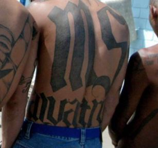 ‘Beat the Victim to Death with a Baseball Bat and Machete’ Two MS-13 Charged