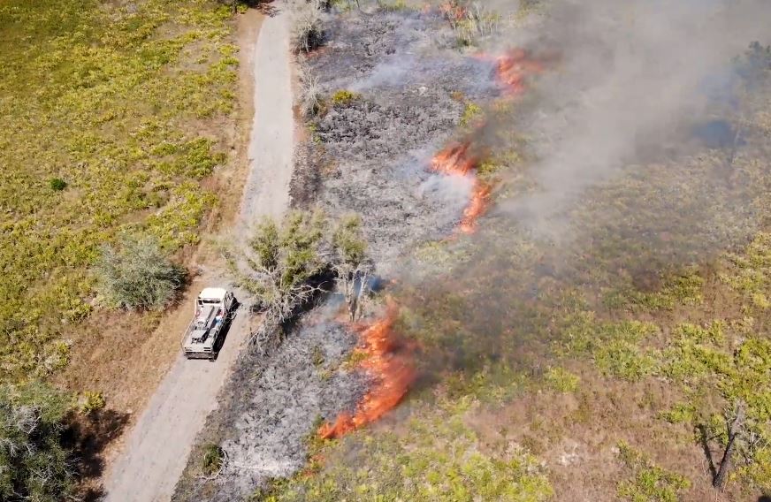 Some major benefits of prescribed fire include: • Reducing overgrown plants, which decreases the risk of catastrophic wildfires.  • Promoting the growth of new, diverse plants. • Maintaining the character and condition of wildlife habitat. • Maintaining access for public recreation. 
