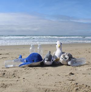 SHORE BUDDIES CELEBRATES AMERICA RECYCLES DAY ON NOVEMBER 15th