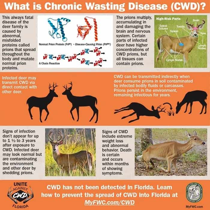 Chronic Wasting Disease