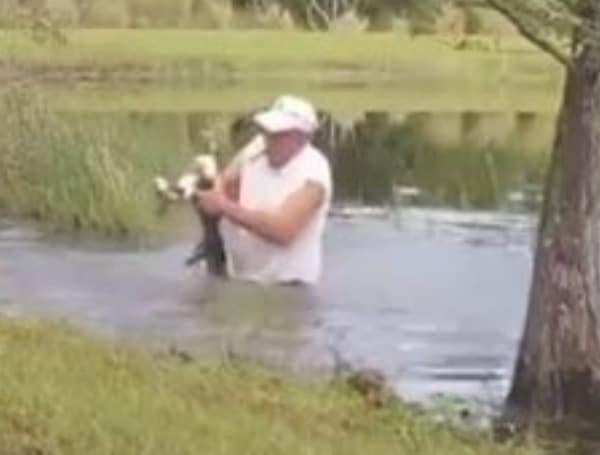 Florida Man Saves His Puppy From The Mouth of an Alligator