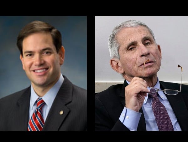 U.S. Senator Marco Rubio Blasts Dr. Fauci on Lies