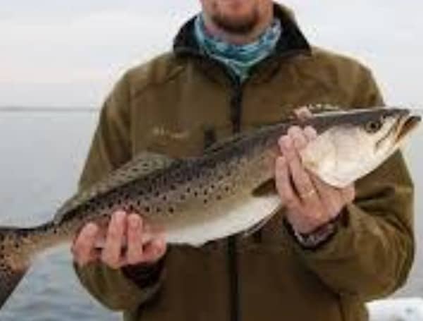 Florida Spotted Seatrout Western Panhandle Zone Closes Feb. 1