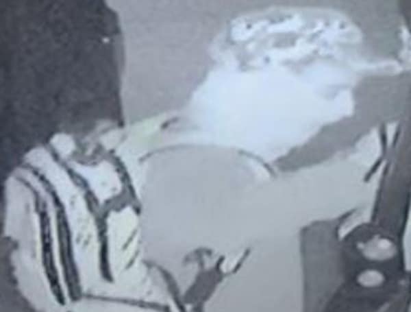 Hernando County Sheriff Seeking Suspect in Spring Hill Vehicle Burglary