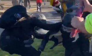 Antifa fighting Patriots