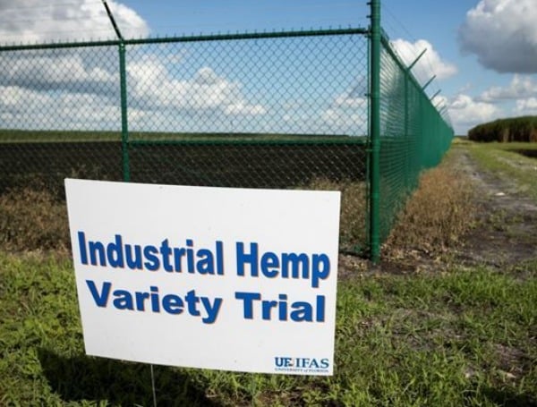 Florida: UF/IFAS Industrial Hemp virtual workshop available Jan. 11