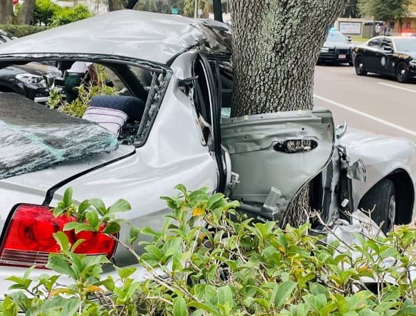 27-Year-Old Orlando Man Killed in Lutz Crash Tuesday