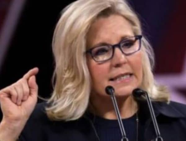 Steve Scalise Wants Liz Cheney Out Of Leadership