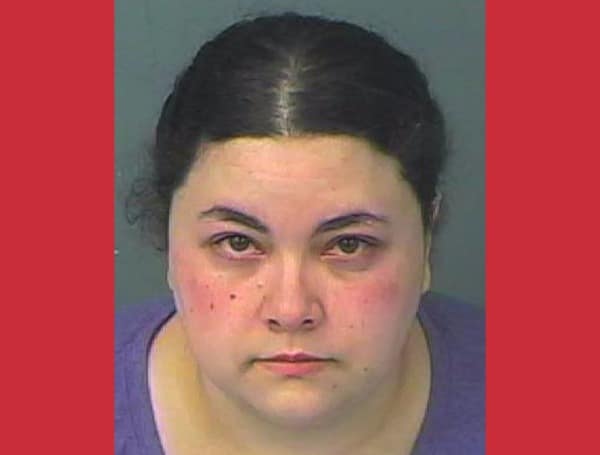 Brooksville Woman Charged with Lewd and Lascivious Battery on New York Teen