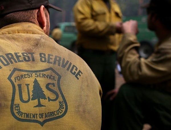 California Forest Service Employee Arrested For Bribes and Kickbacks