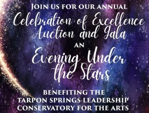 An Evening Under the Stars Gala & Celebration of Excellence