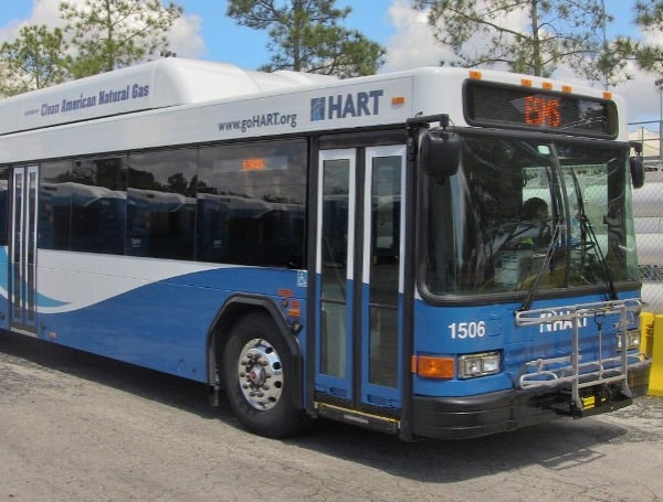 Transportation Pilot Program Aims to Get You to the Bus With Ease