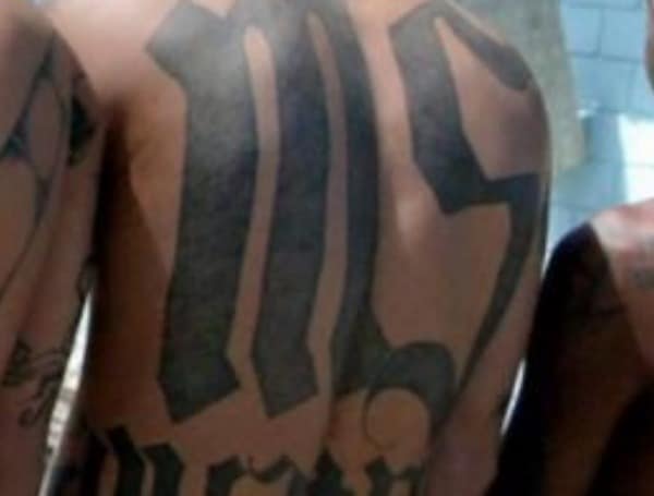 MS-13 Gang Member Pleads Guilty to RICO Conspiracy