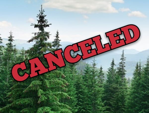 Canceled: Portland School Board Debates Evergreen Trees And Their Racist History