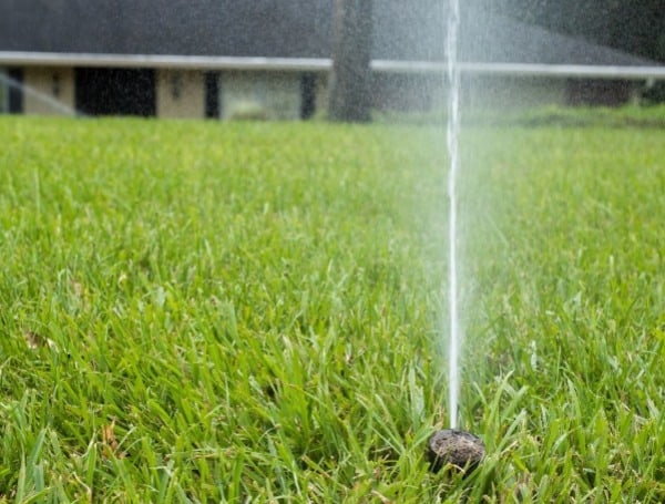 Friends, Neighbors Help Influence Our Irrigation Decisions, UF Research Shows