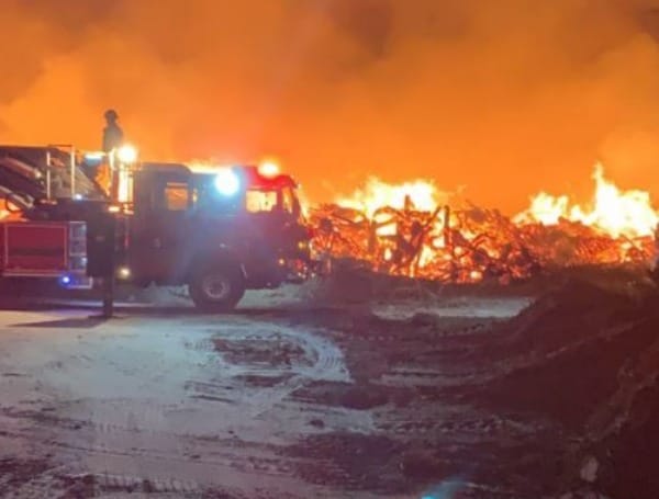 Tampa Fire Rescue Working Large Brush Fire In West Shore Area