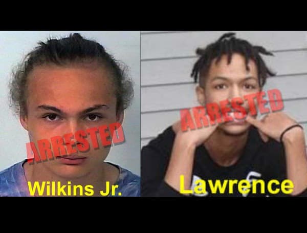 2 Teens Arrested For Multiple Thefts, Trespass Crimes In Hernando County