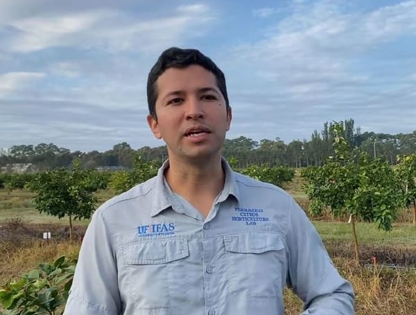 University Of Florida Graduate Student Sees The Future Of Worldwide Crop Production In New Cultivars