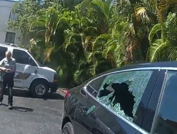 WATCH: Sarasota Police Officer Saves A Dog Locked In A Very Hot Car