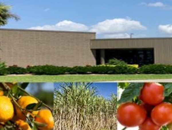 UF/IFAS Hosts English, Spanish COVID-19 Safety Webinars For Farm Labor Supervisors To Protect Workers