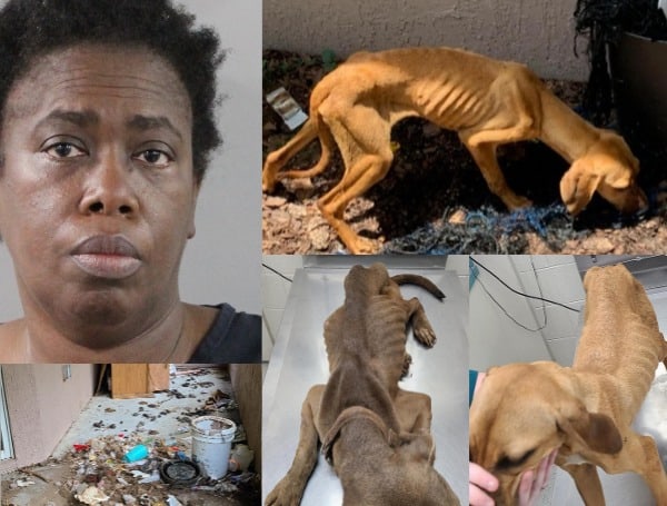 “Animal Cruelty” Florida Woman Arrested, Emaciated And Neglected Dogs