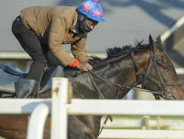 The Unique Sport Of Horse Racing