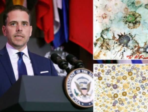 White House Report Flags Hunter Biden’s Industry As Potential Hotbed For ‘Financial Crimes’