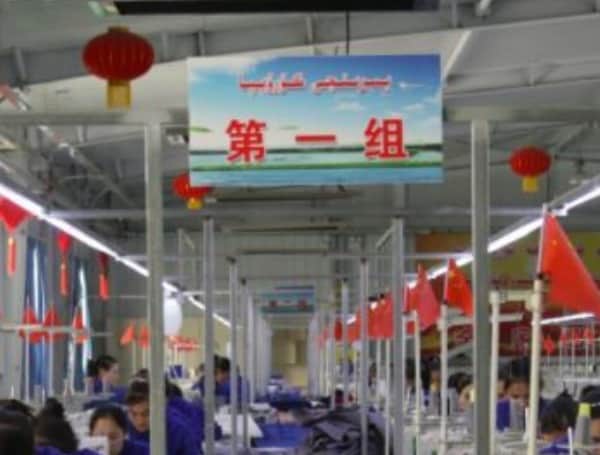 Biden Administration Bans Solar Panel Materials Made By Uyghur Slave Labor