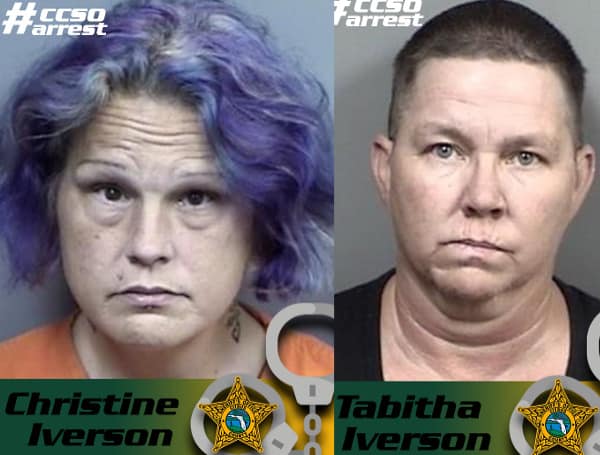 84 Animals Rescued, 2 Women Arrested After Emaciated Dogs Found In Citrus County Home