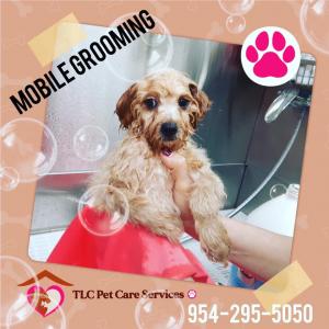 image of dog during mobile grooming process at TLC Pet Care Services